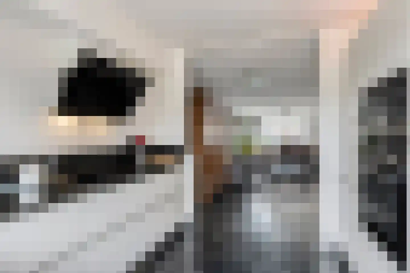 Jan van der Horststraat 16 Haarlem thumbnail 10
