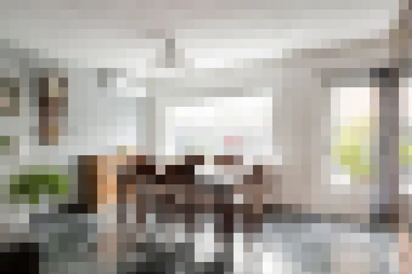 Jan van der Horststraat 16 Haarlem thumbnail 8