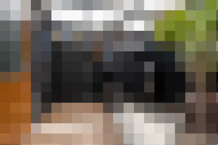 Jan van der Horststraat 68 Haarlem thumbnail 34