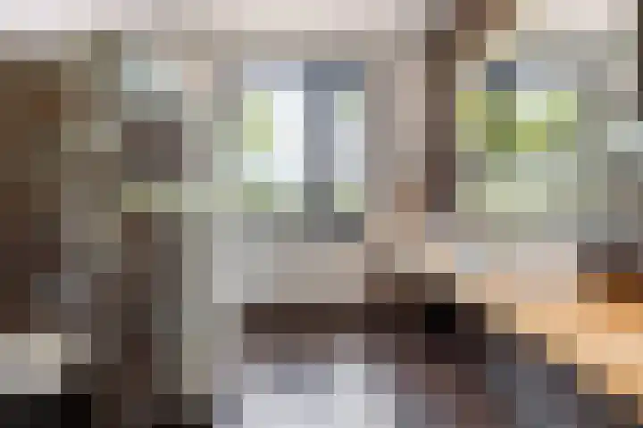 Jan van der Horststraat 68 Haarlem thumbnail 50