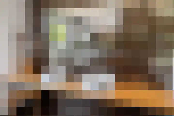 Jan van der Horststraat 68 Haarlem thumbnail 52