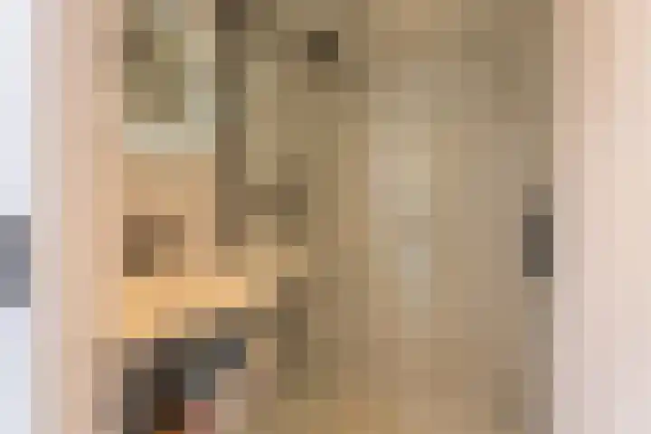 Jan van der Jagtpad 5 Voorhout thumbnail 10
