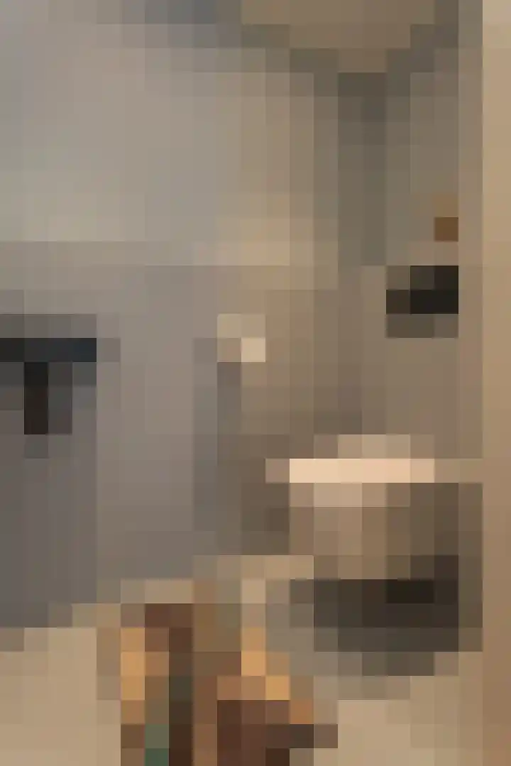 Jan van der Jagtpad 5 Voorhout thumbnail 17