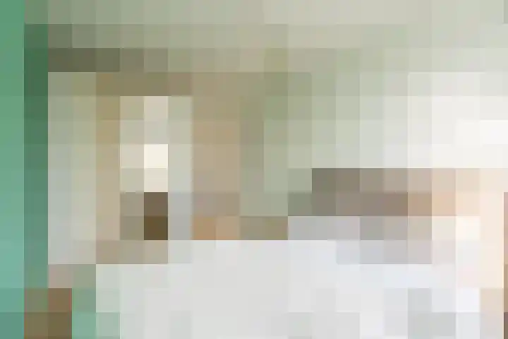 Jan van der Jagtpad 5 Voorhout thumbnail 22