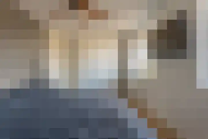 Jan van der Jagtpad 5 Voorhout thumbnail 24