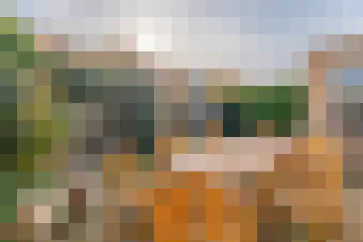 Jan van der Jagtpad 5 Voorhout thumbnail 32