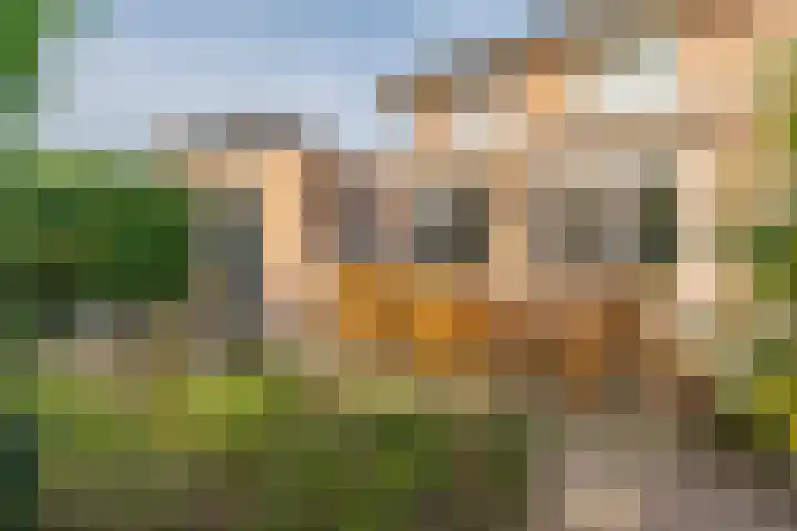 Jan van der Jagtpad 5 Voorhout thumbnail 33