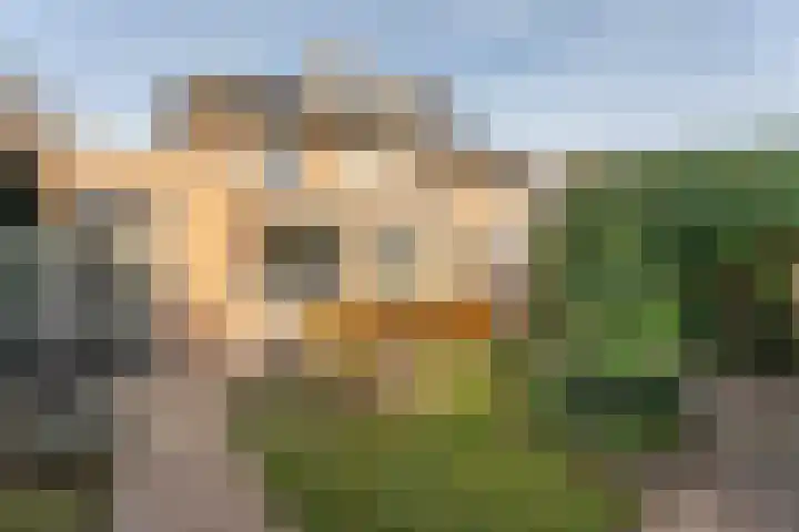 Jan van der Jagtpad 5 Voorhout thumbnail 34