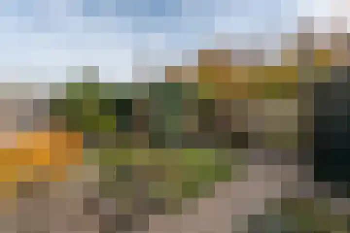 Jan van der Jagtpad 5 Voorhout thumbnail 35