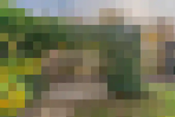 Jan van der Jagtpad 5 Voorhout thumbnail 36