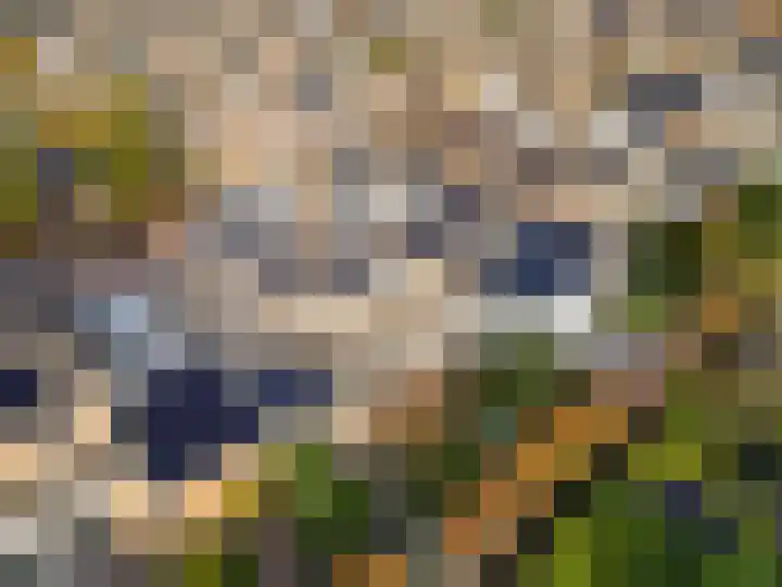 Jan van der Jagtpad 5 Voorhout thumbnail 41