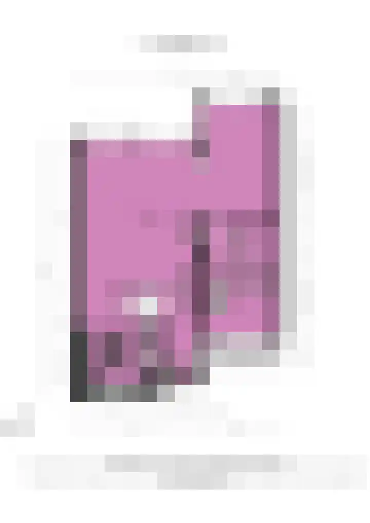 Jan van der Jagtpad 5 Voorhout thumbnail 42