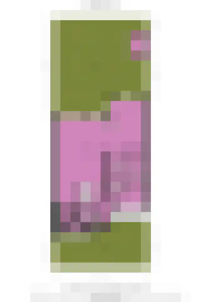 Jan van der Jagtpad 5 Voorhout thumbnail 46