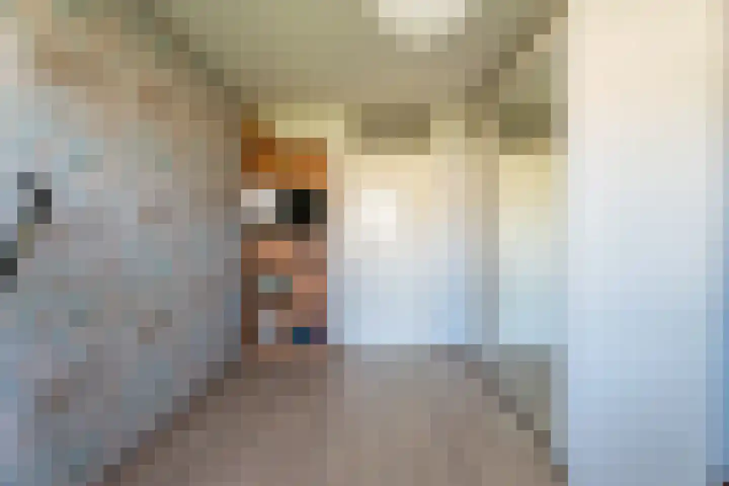 Jan van der Jagtstraat 1 Voorhout thumbnail 21