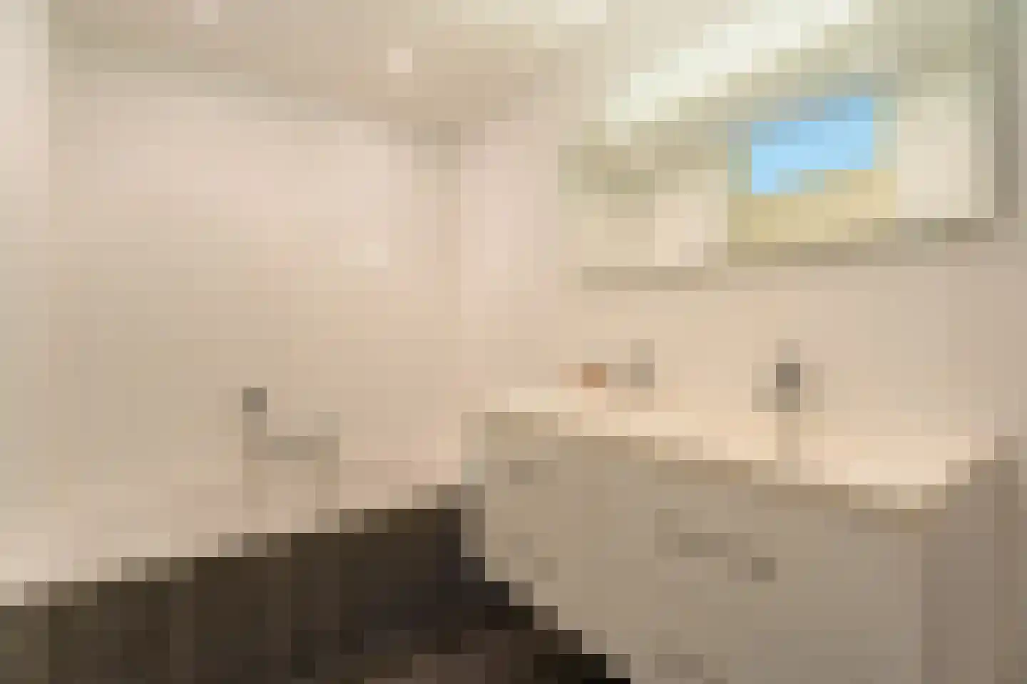 Jan van der Jagtstraat 1 Voorhout thumbnail 25