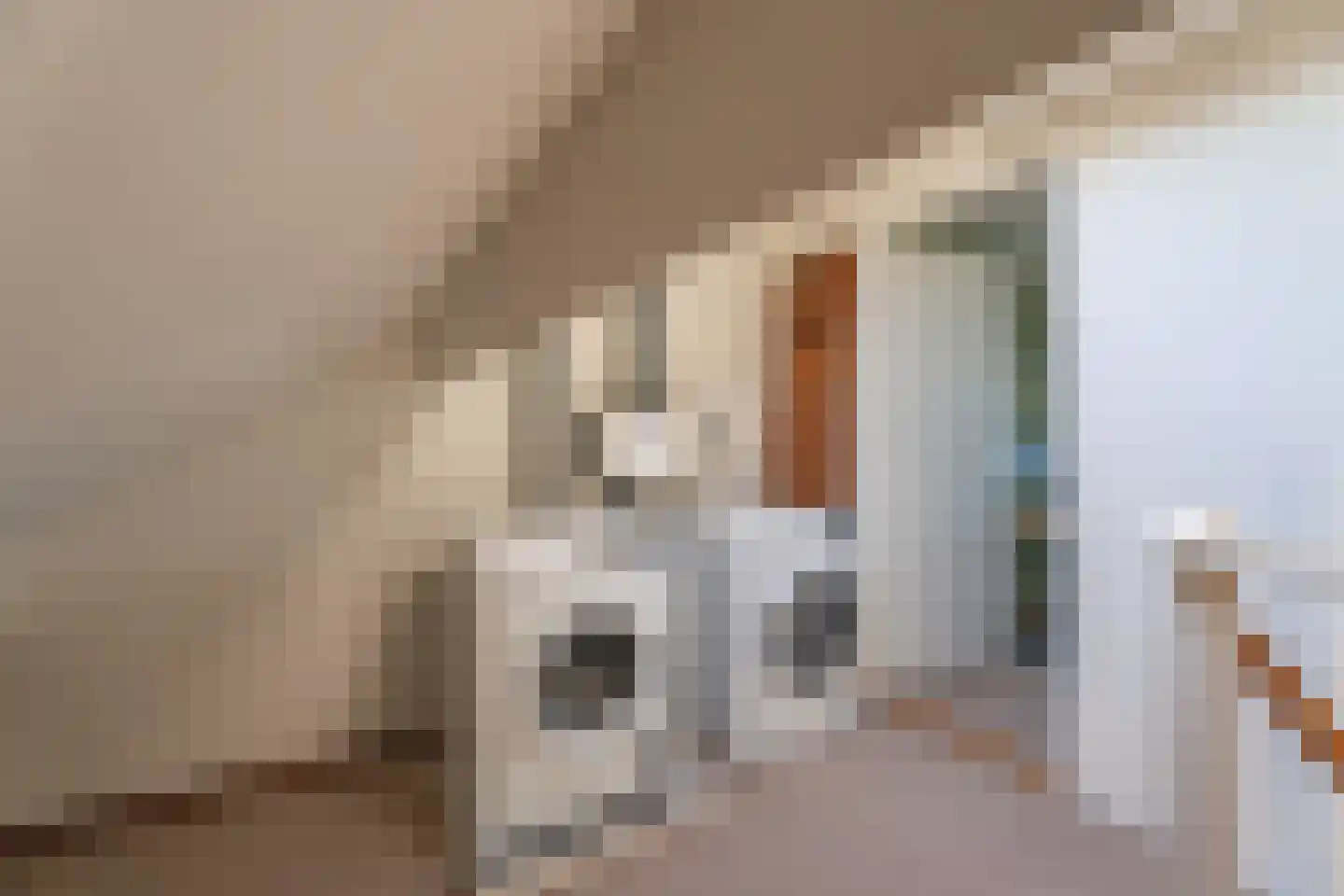 Jan van der Jagtstraat 1 Voorhout thumbnail 33