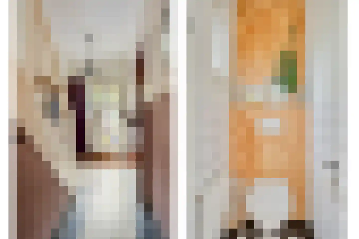 Jan van der Leestraat 6 Tilburg thumbnail 18
