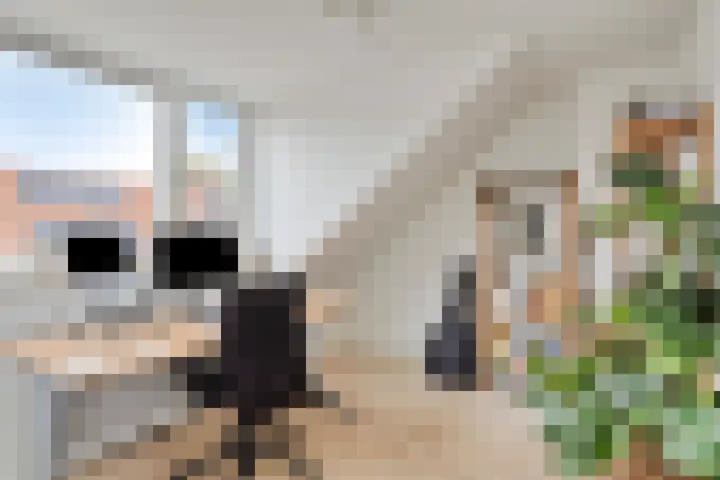 Jan van der Leestraat 6 Tilburg thumbnail 31