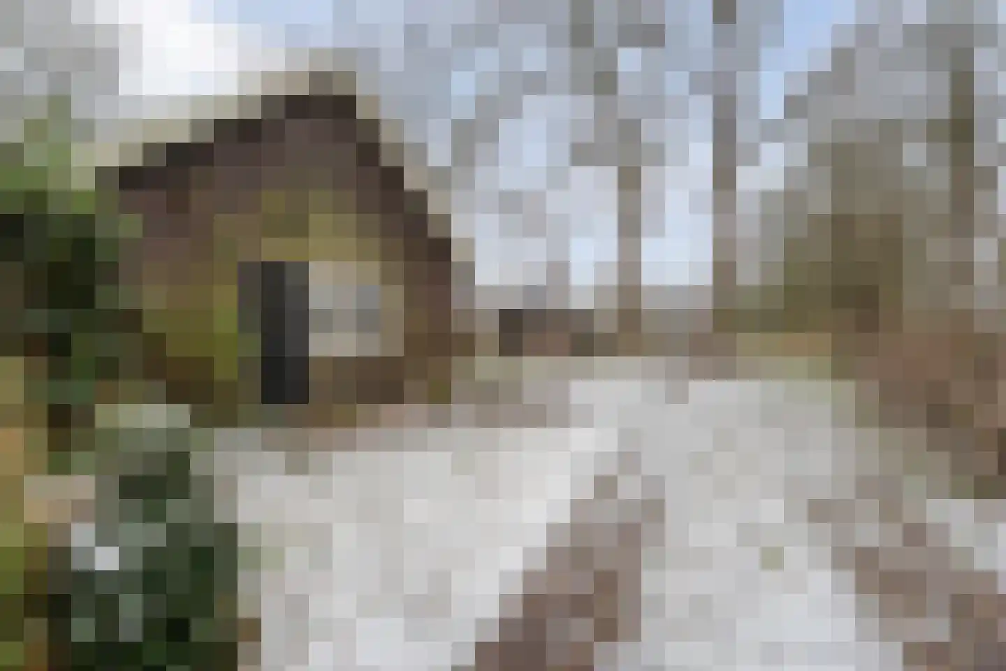 Jan van der Veenweg 5 Vledderveen thumbnail 14