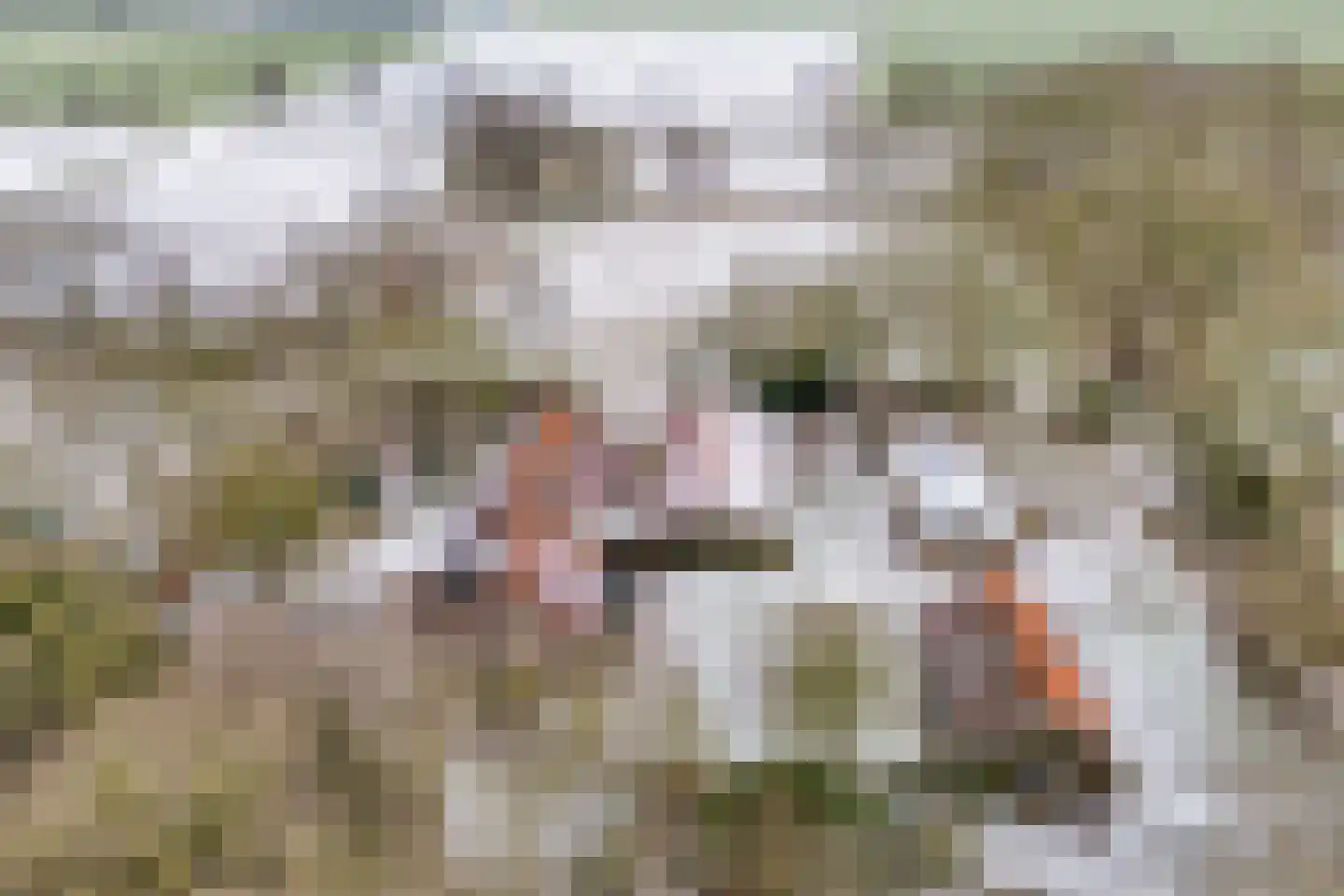 Jan van der Veenweg 5 Vledderveen thumbnail 4