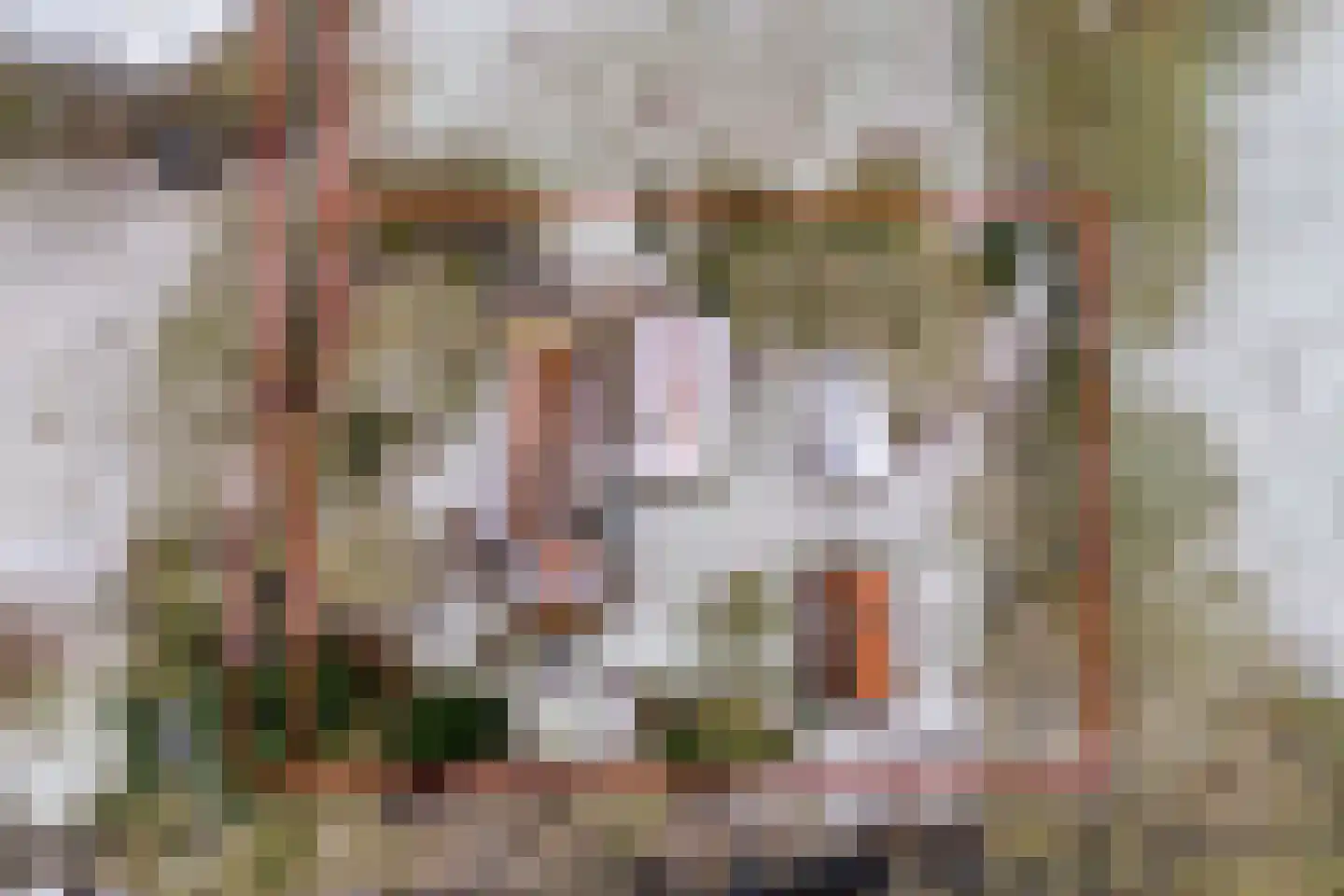 Jan van der Veenweg 5 Vledderveen thumbnail 5