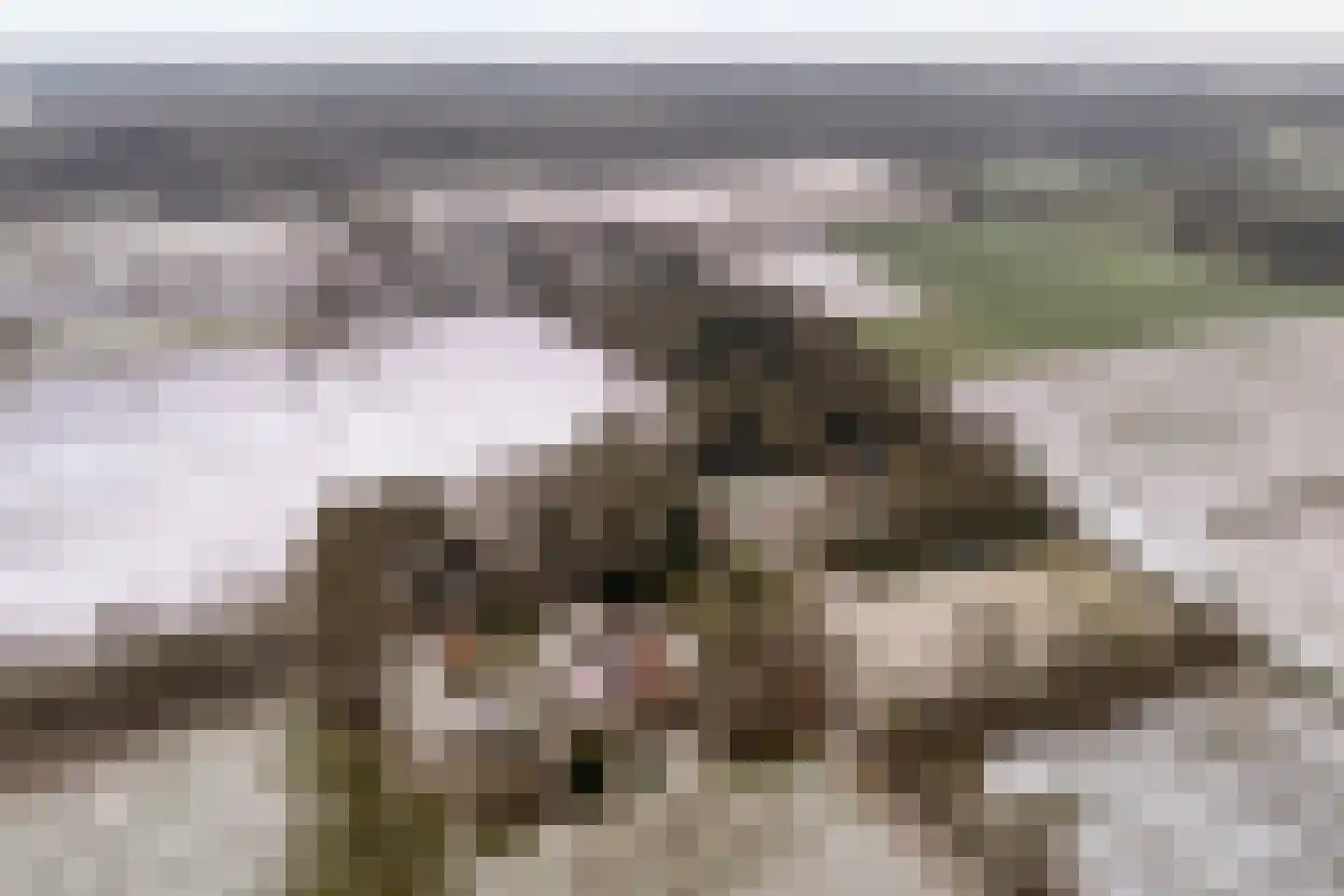 Jan van der Veenweg 5 Vledderveen thumbnail 6
