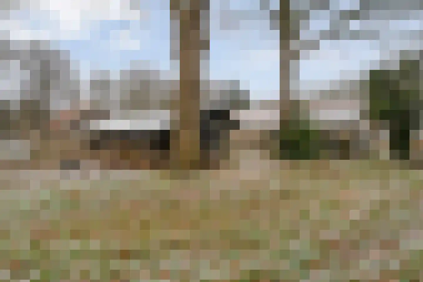 Jan van der Veenweg 5 Vledderveen thumbnail 72