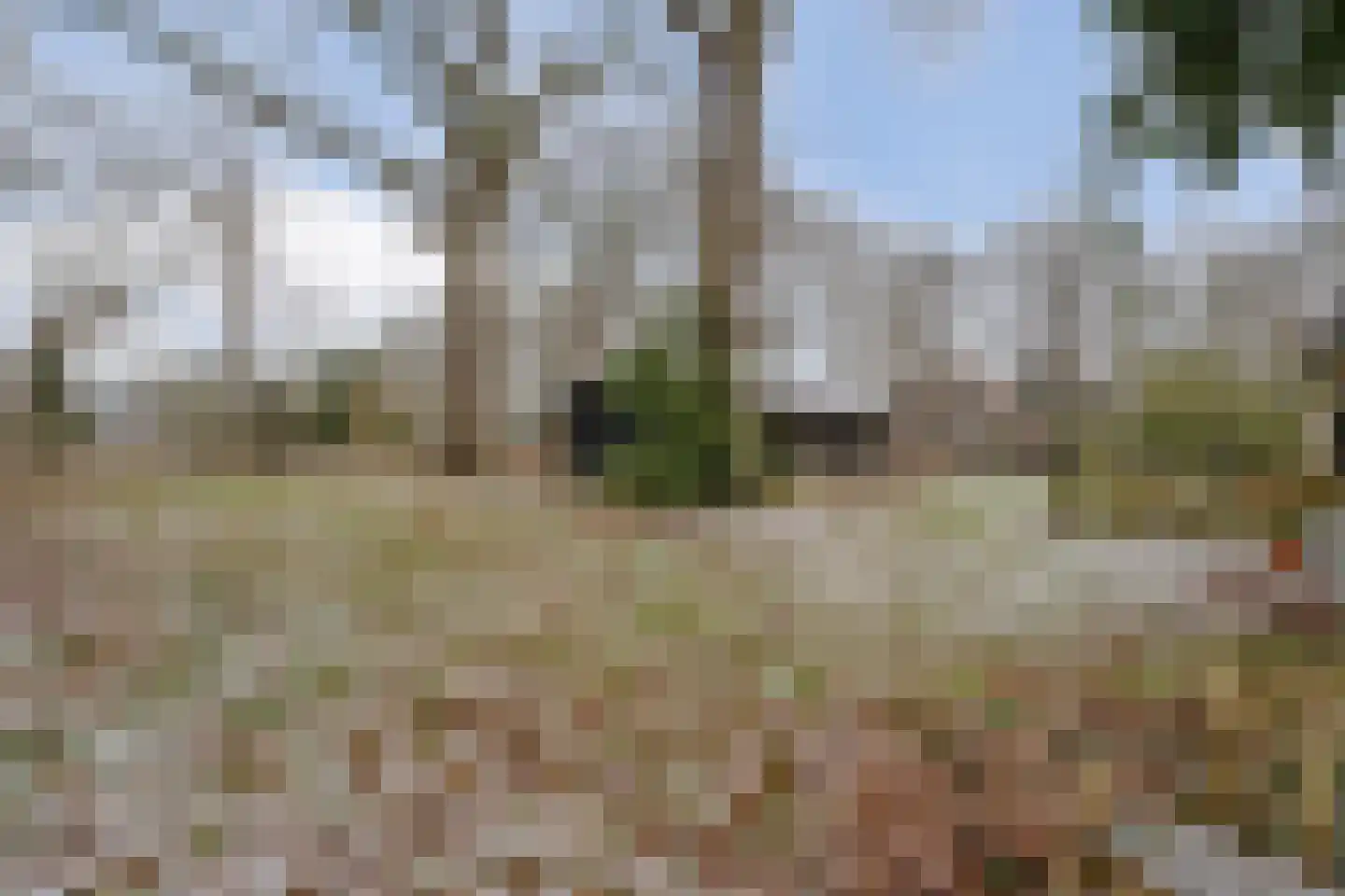 Jan van der Veenweg 5 Vledderveen thumbnail 74