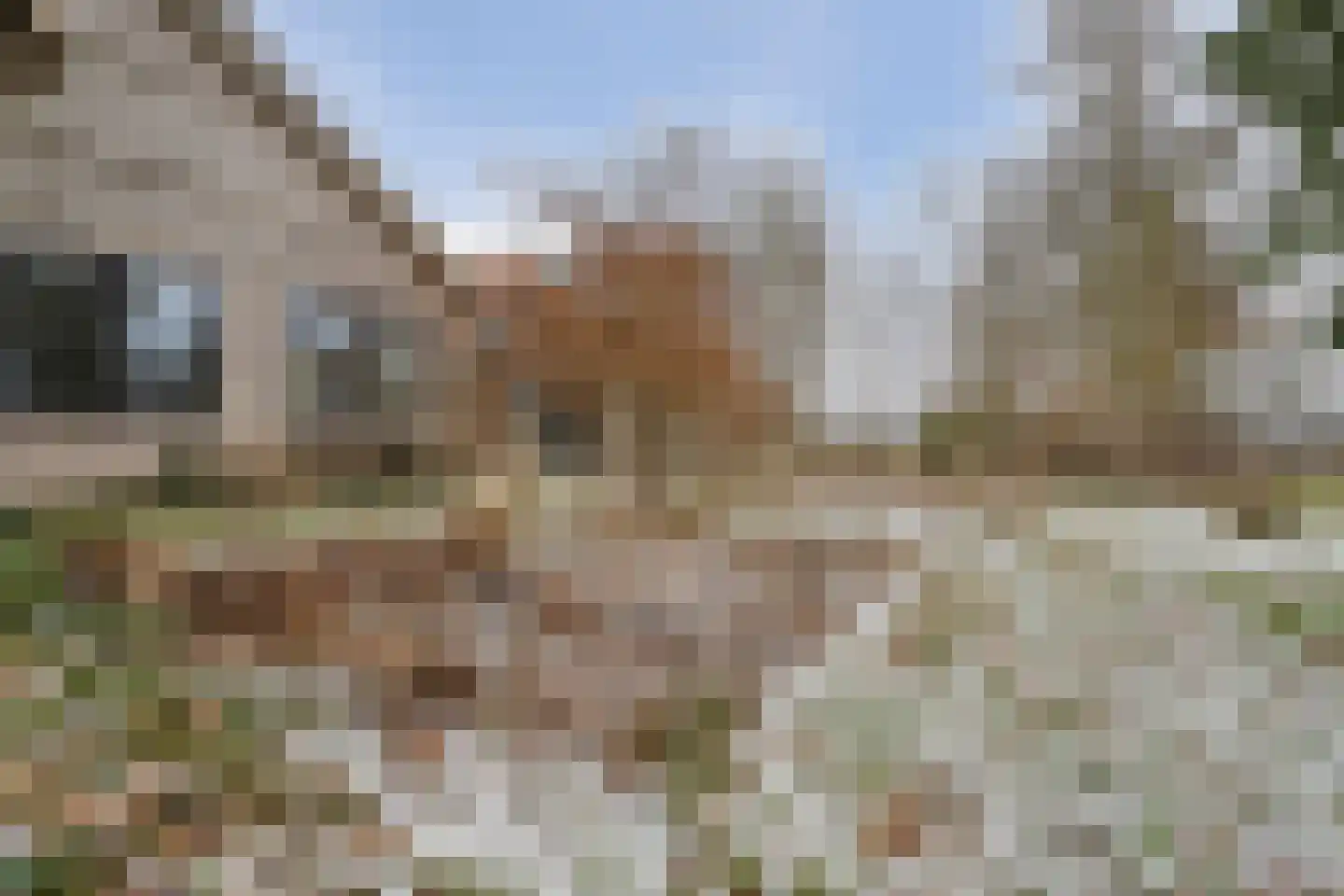 Jan van der Veenweg 5 Vledderveen thumbnail 75