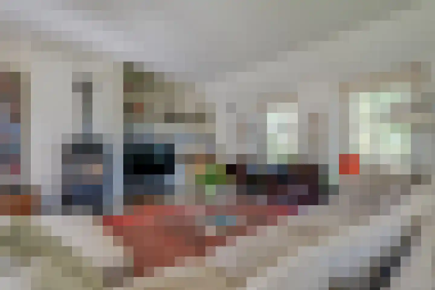 Jan van der Veenweg 7 Vledderveen thumbnail 18