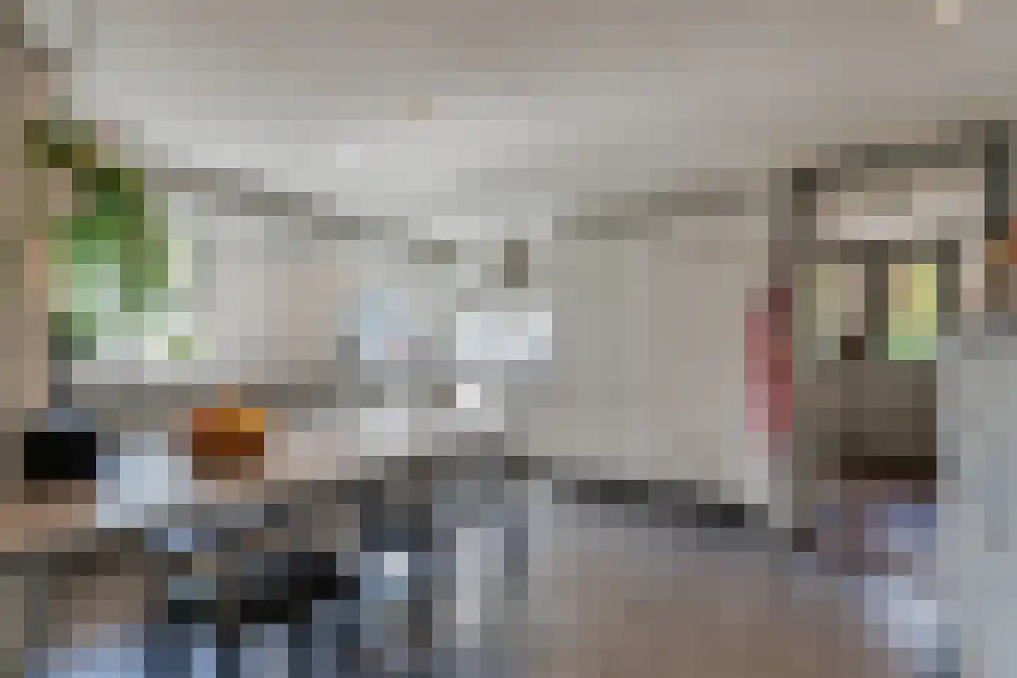 Jan van der Veenweg 7 Vledderveen thumbnail 26