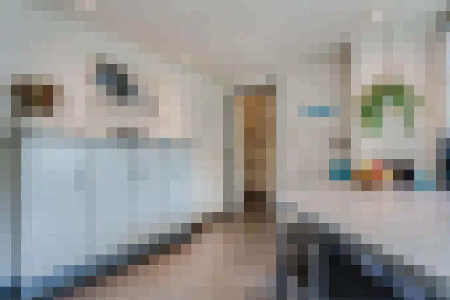 Jan van der Veenweg 7 Vledderveen thumbnail 31