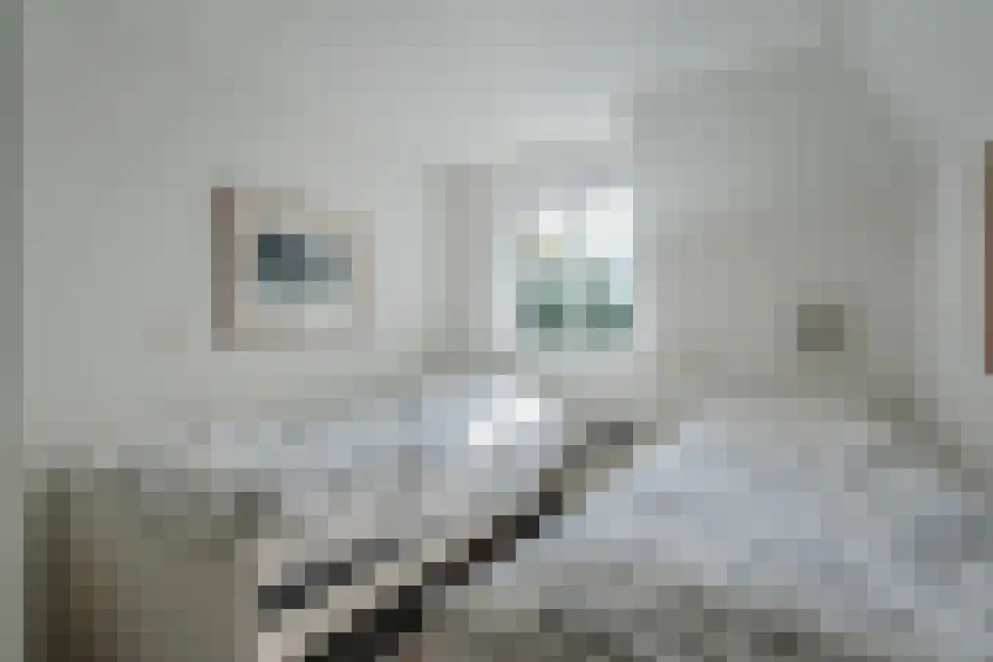 Jan van der Veenweg 7 Vledderveen thumbnail 33