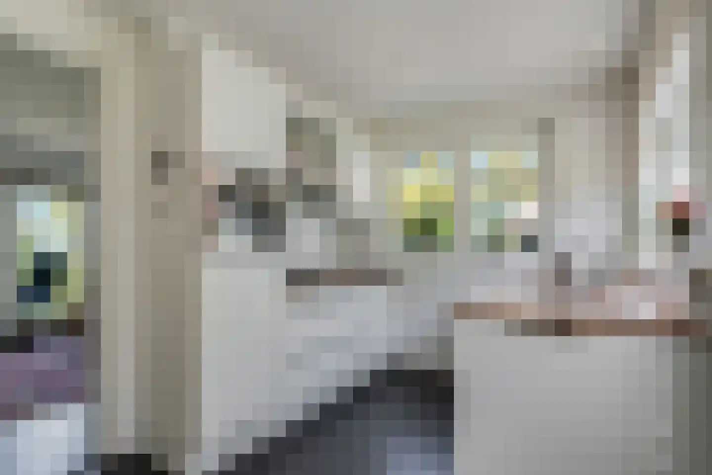 Jan van der Veenweg 7 Vledderveen thumbnail 50