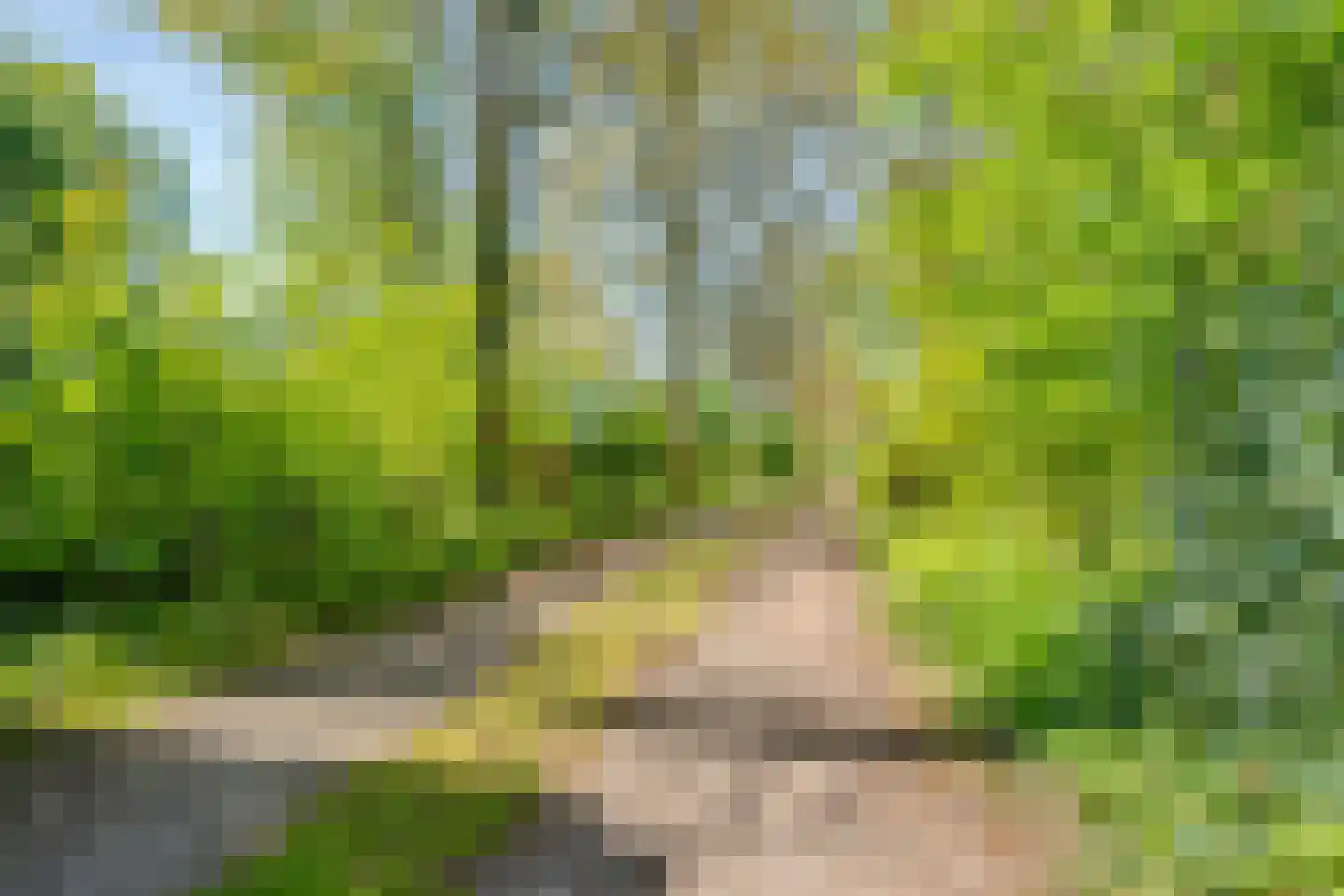 Jan van der Veenweg 7 Vledderveen thumbnail 6