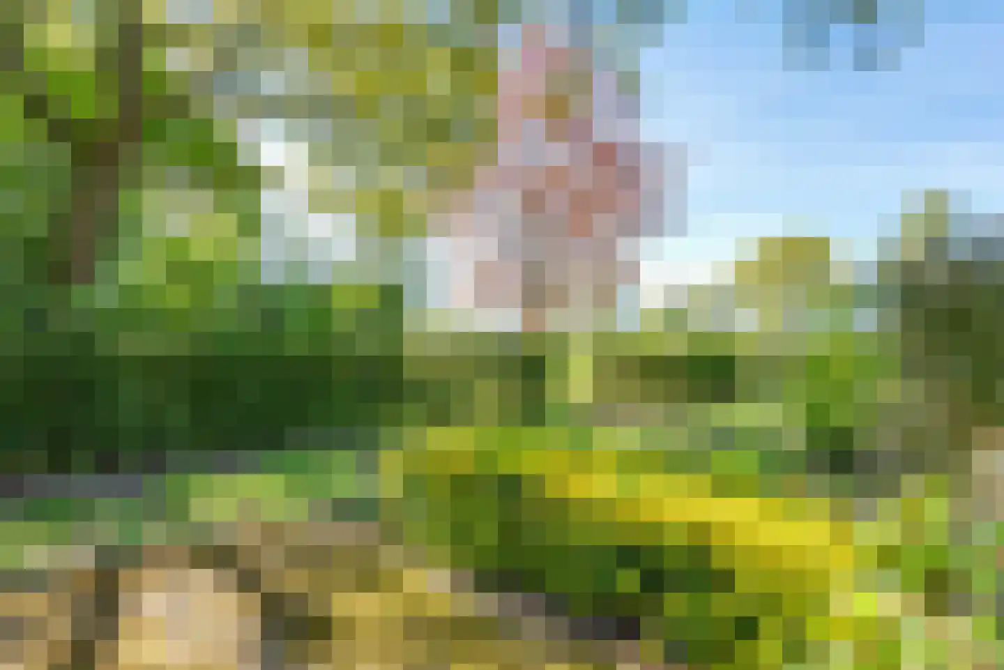 Jan van der Veenweg 7 Vledderveen thumbnail 74