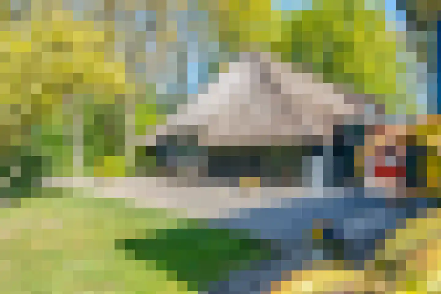 Jan van der Veenweg 7 Vledderveen thumbnail 75