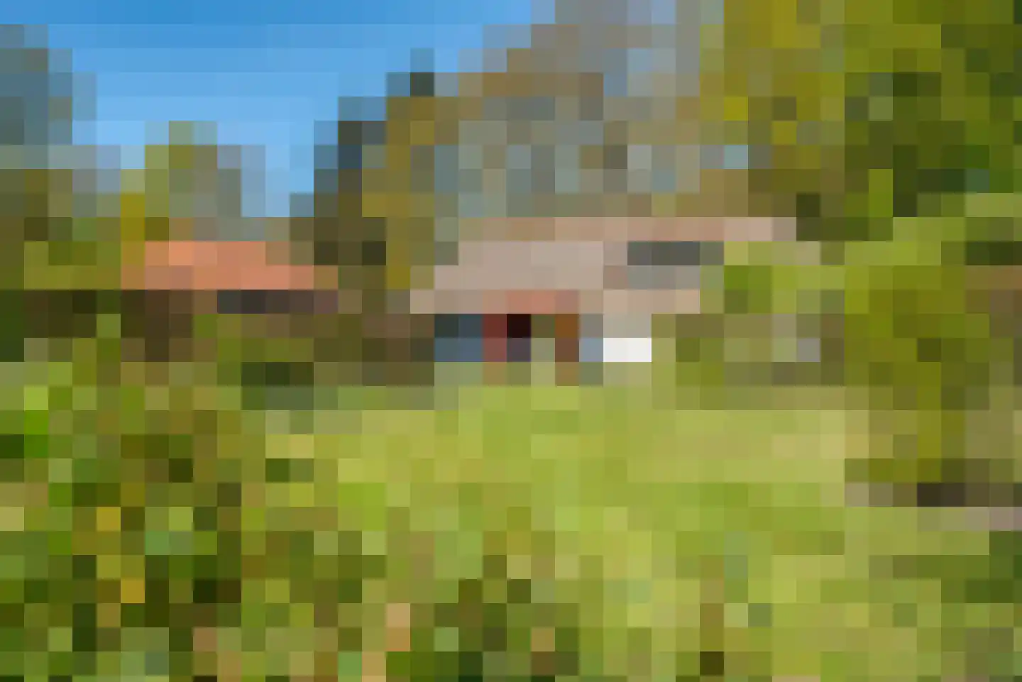 Jan van der Veenweg 7 Vledderveen thumbnail 86