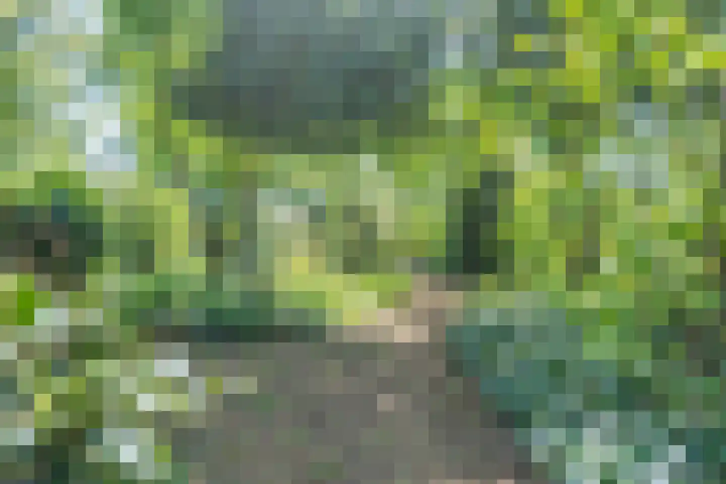 Jan van der Veenweg 7 Vledderveen thumbnail 87