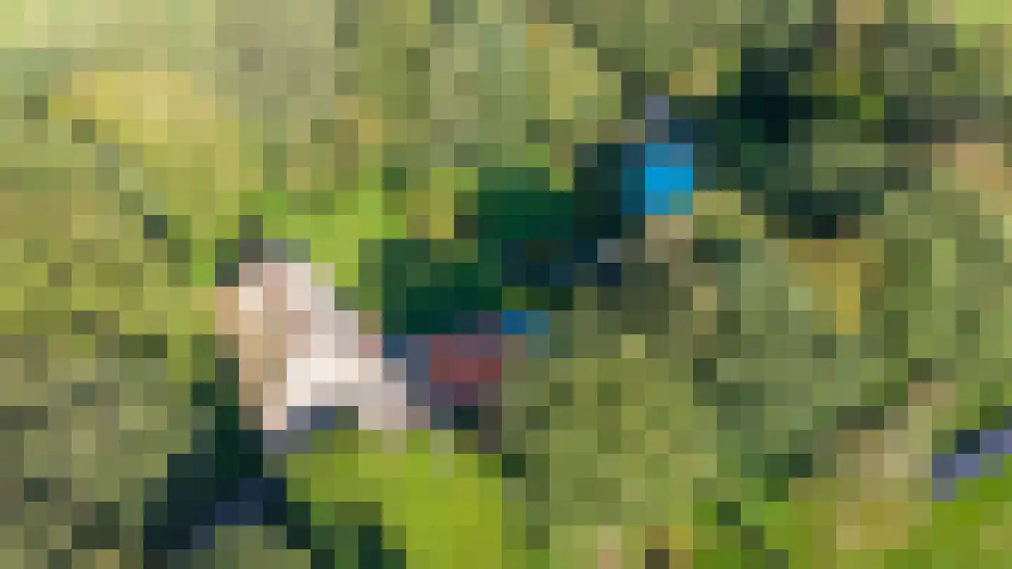Jan van der Veenweg 7 Vledderveen thumbnail 89