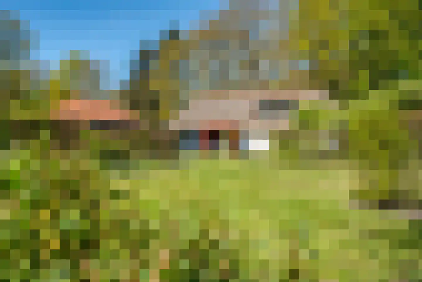 Jan van der Veenweg 7 Vledderveen thumbnail 94