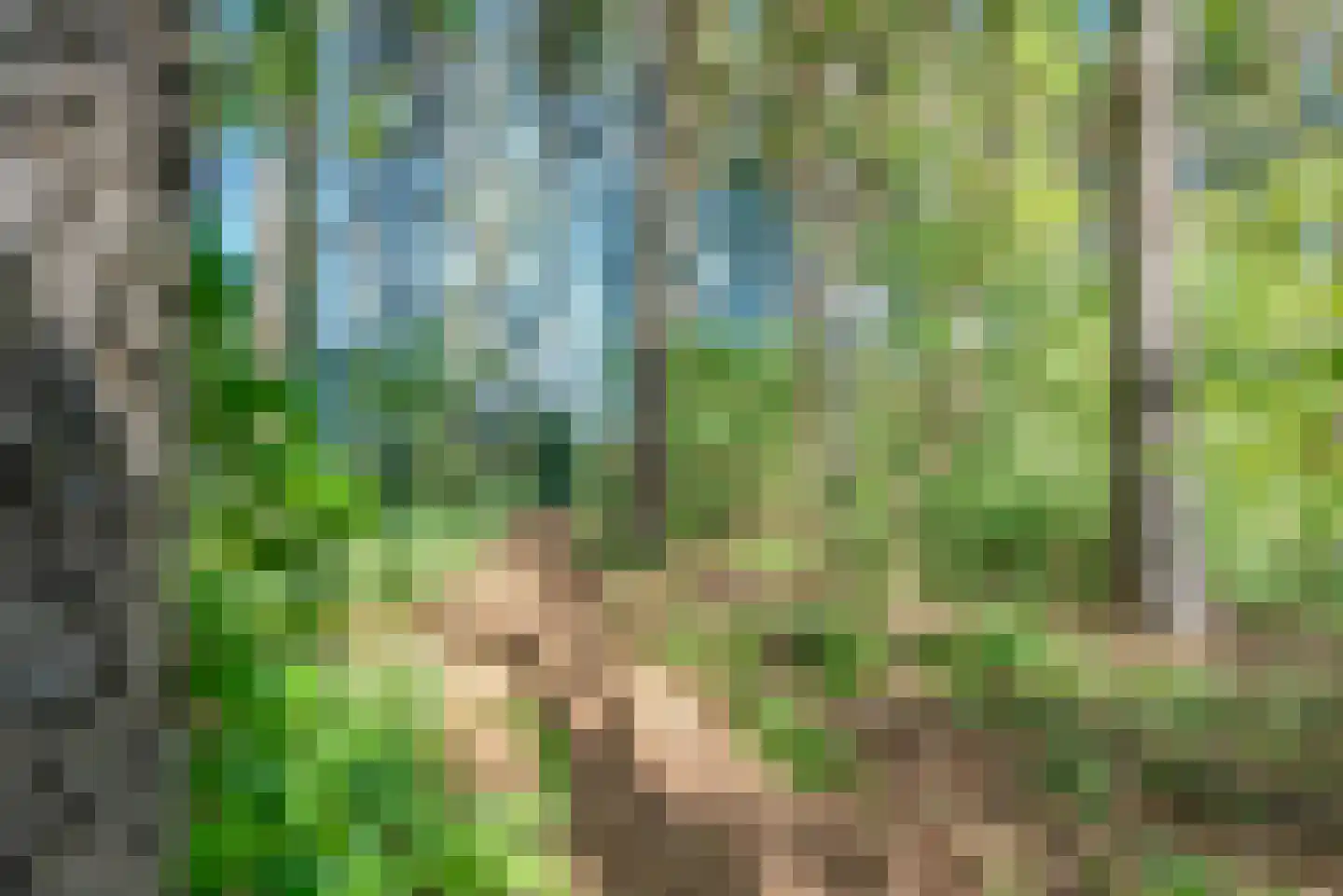 Jan van der Veenweg 7 Vledderveen thumbnail 96