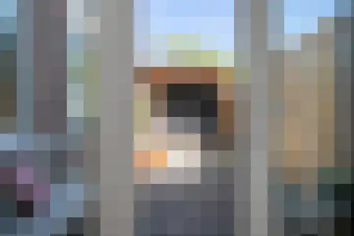 Jan van Dieststraat 21 Vollenhove thumbnail 20