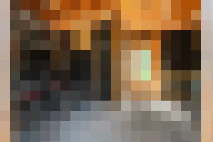 Jan van Dieststraat 21 Vollenhove thumbnail 24