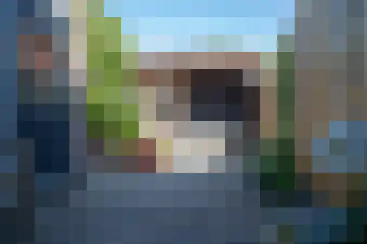 Jan van Dieststraat 21 Vollenhove thumbnail 27