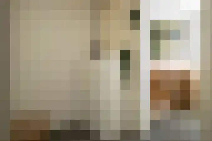 Jan van Dieststraat 21 Vollenhove thumbnail 33