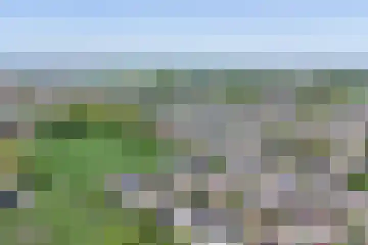 Jan van Dieststraat 21 Vollenhove thumbnail 6