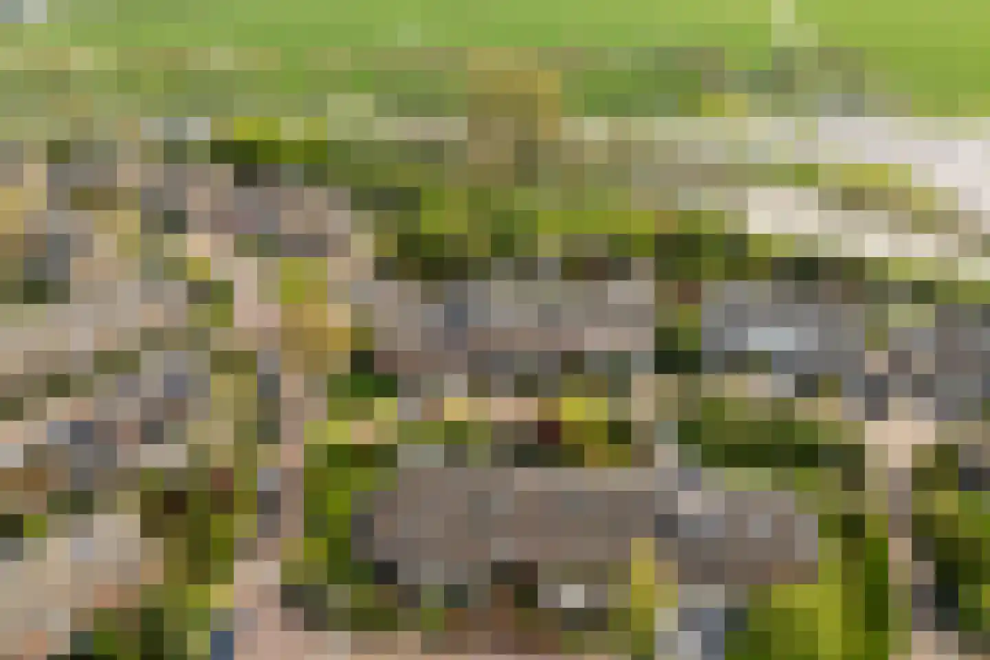 Jan van Dieststraat 5 Vreeland thumbnail 37