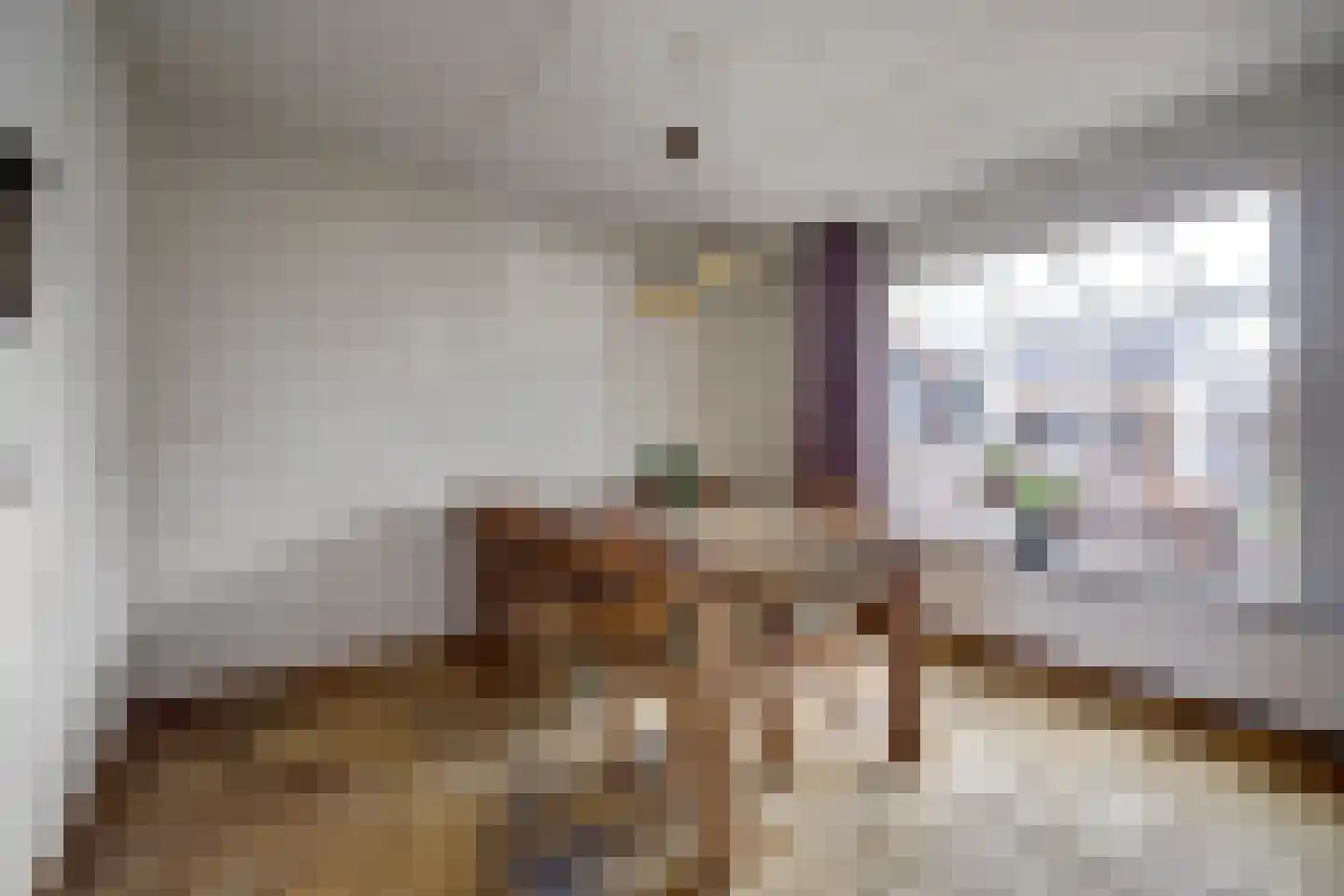Jan van Dieststraat 6 Vollenhove thumbnail 10