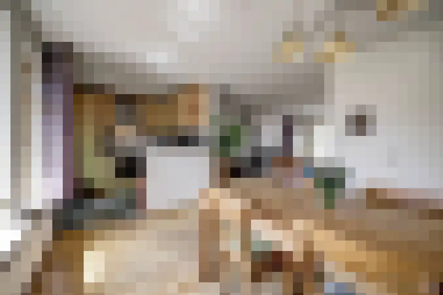 Jan van Dieststraat 6 Vollenhove thumbnail 12